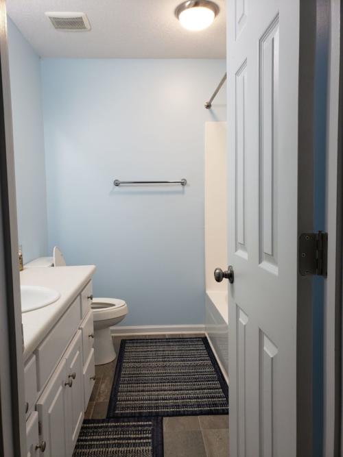 Hallway Bathroom